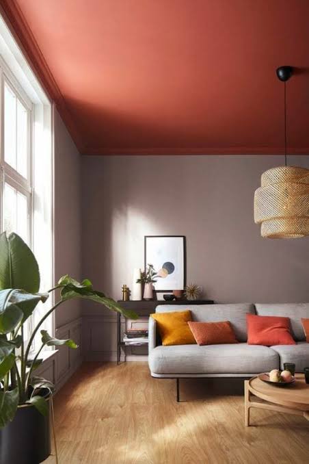 Salon peinture plafond terracotta